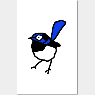 Annabel the Blue Wren Posters and Art